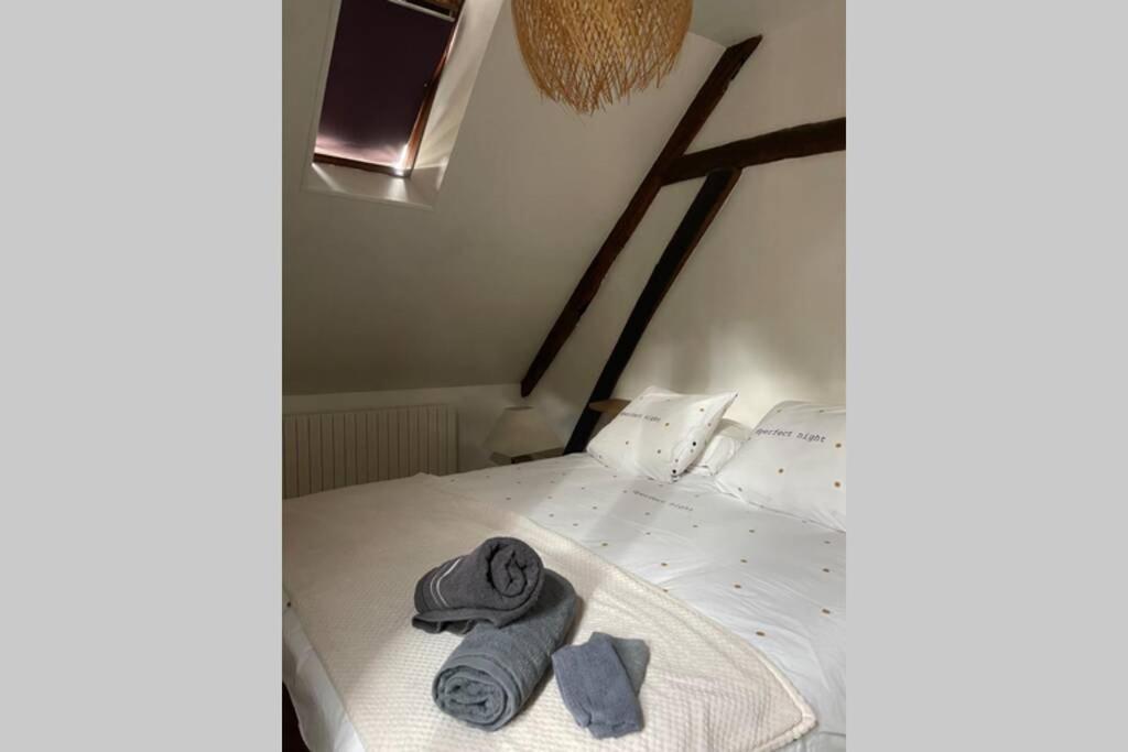 Appartement «La Vie Est Belle» Au Coeur De Sézanne Exteriér fotografie